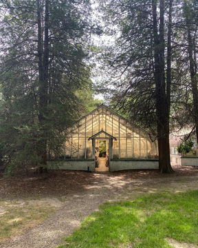A glasshouse standing among tall redwoods
