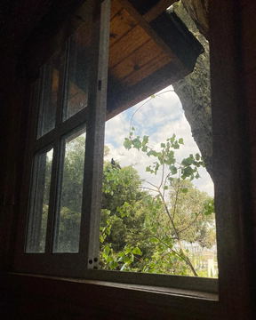A window frame in shadow opening onto green trees